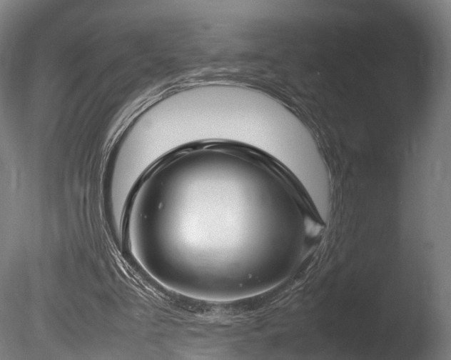 X0000085290293200703161457