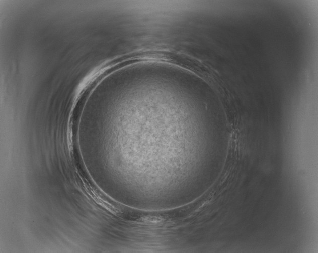 X0000085290294200703161457