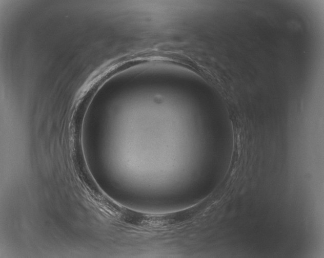 X0000085290295200703161457