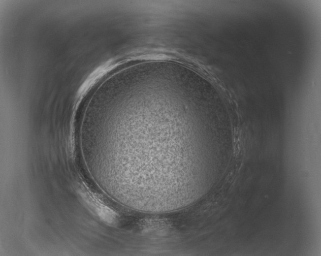 X0000085290296200703161457