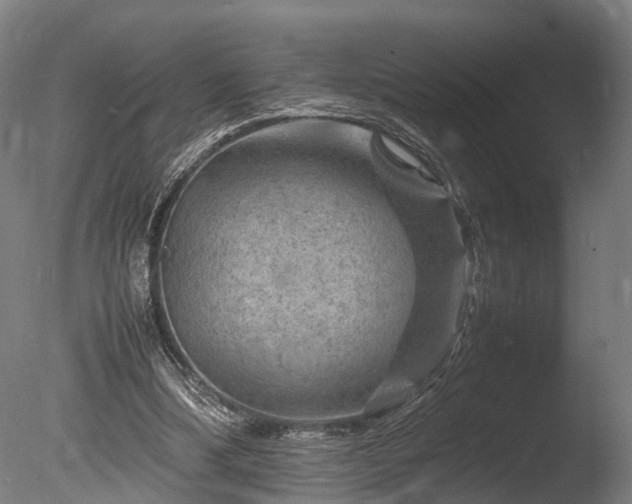 X0000085290298200703161457