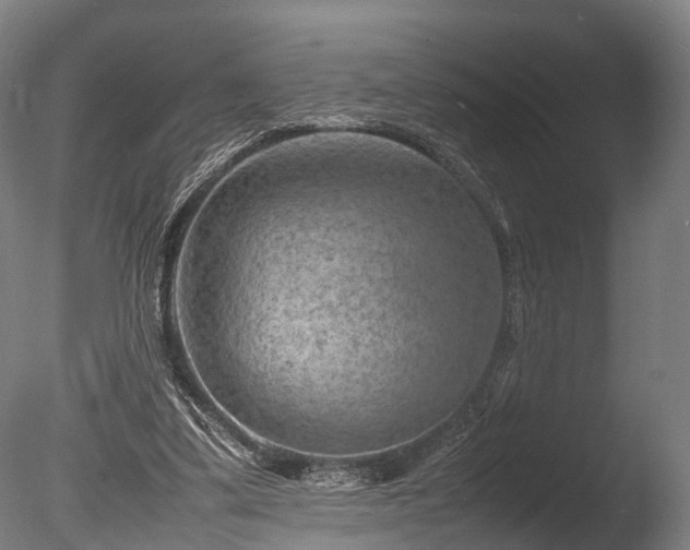 X0000085290299200703161457