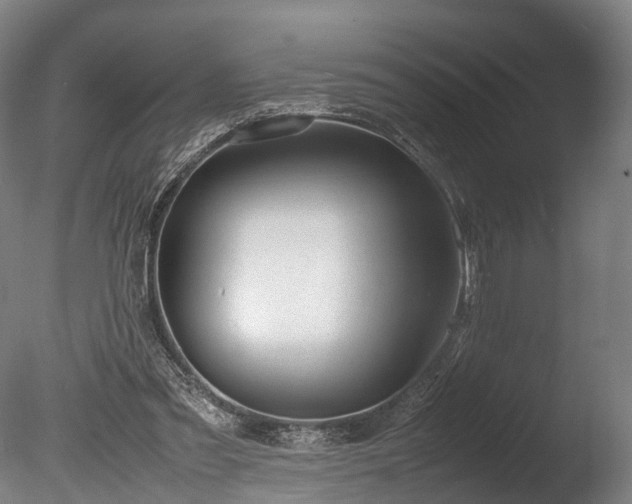 X0000085290301200703161457