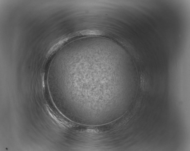 X0000085290302200703161457