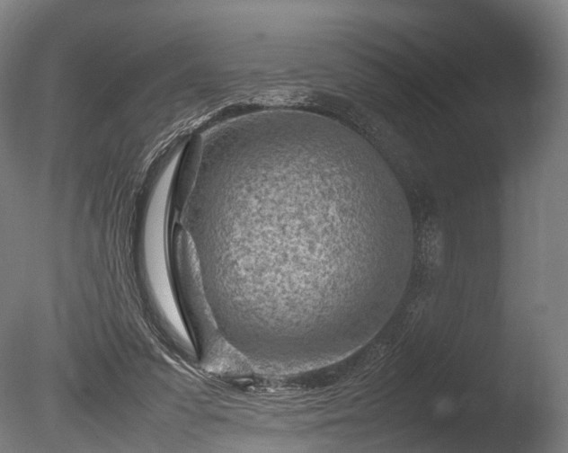 X0000085290303200703161457