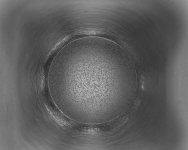 X0000085290304200703161457