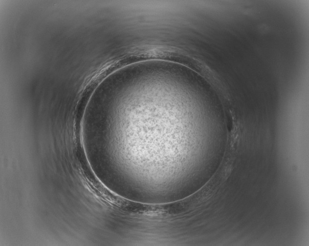 X0000085290306200703161457