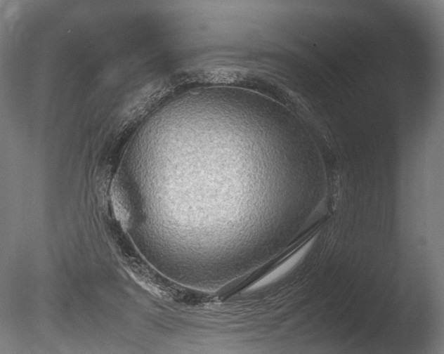 X0000085290307200703161457