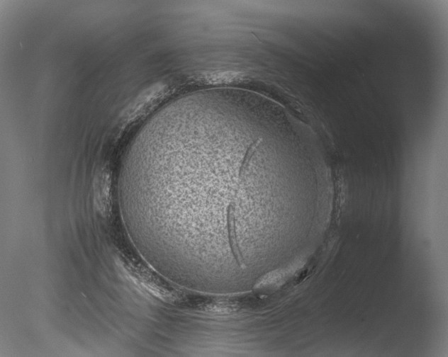 X0000085290308200703161457