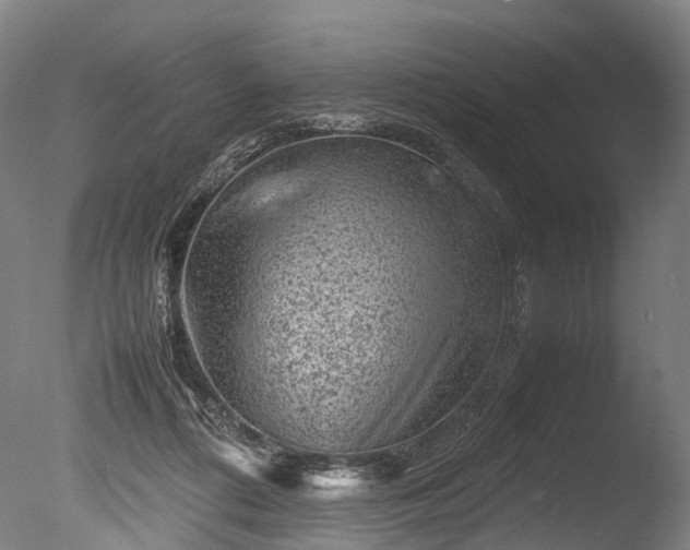 X0000085290312200703161457