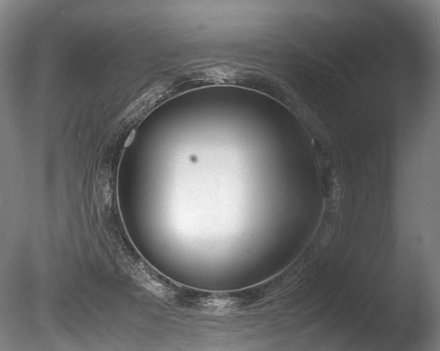 X0000085290313200703161457