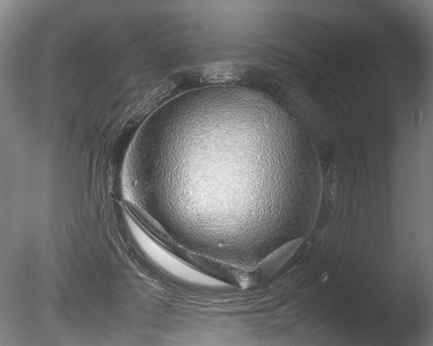 X0000085290315200703161457