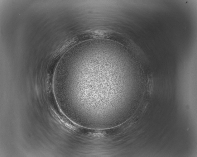 X0000085290318200703161457