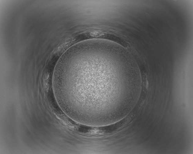 X0000085290319200703161457