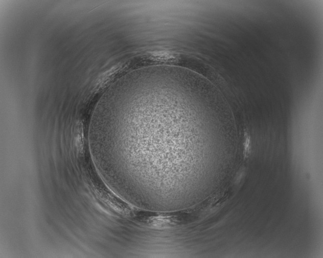 X0000085290320200703161457