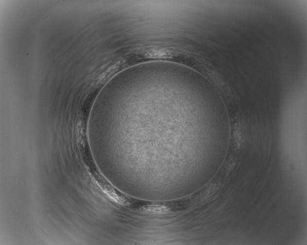 X0000085290322200703161457