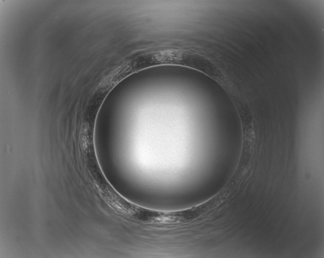 X0000085290323200703161457