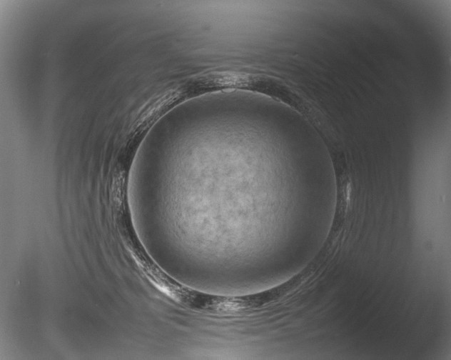 X0000085290325200703161457