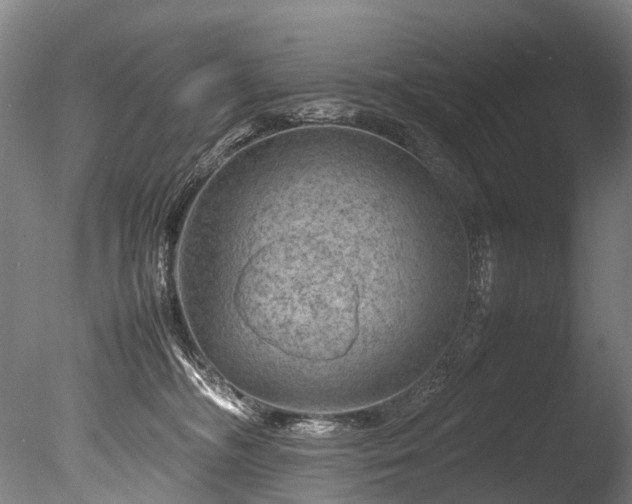 X0000085290326200703161457