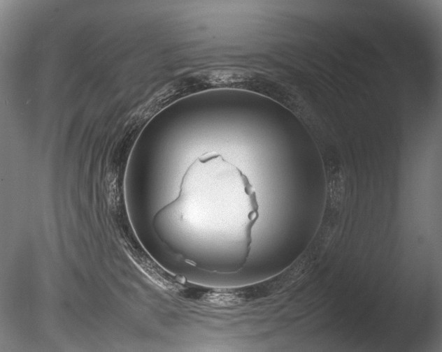 X0000085290327200703161457