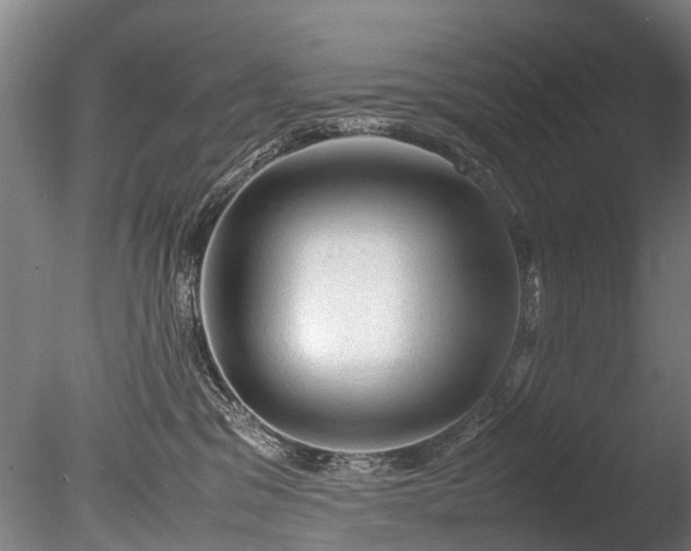 X0000085290329200703161457