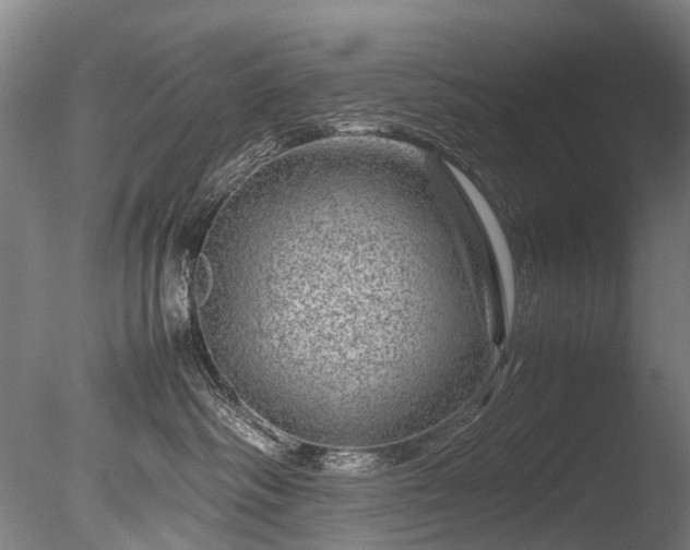 X0000085290334200703161457