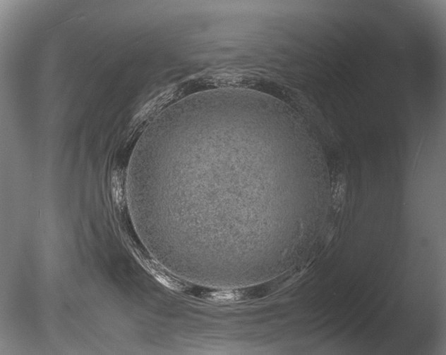 X0000085290335200703161457