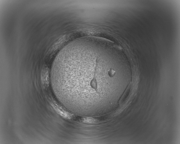 X0000085290336200703161457