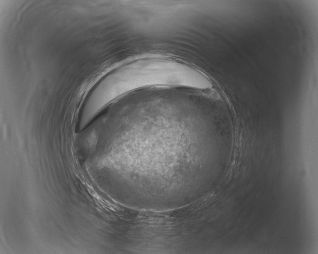 X0000085290337200703161456