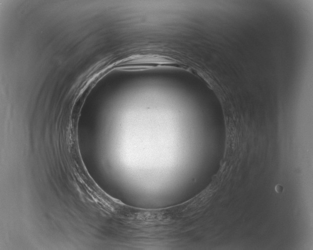 X0000085290338200703161456