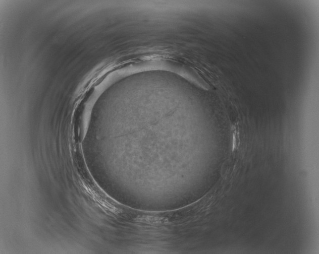 X0000085290339200703161456