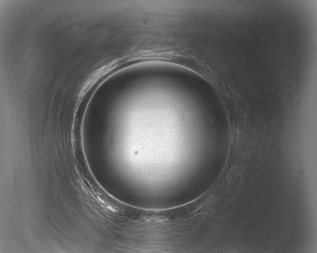 X0000085290340200703161456