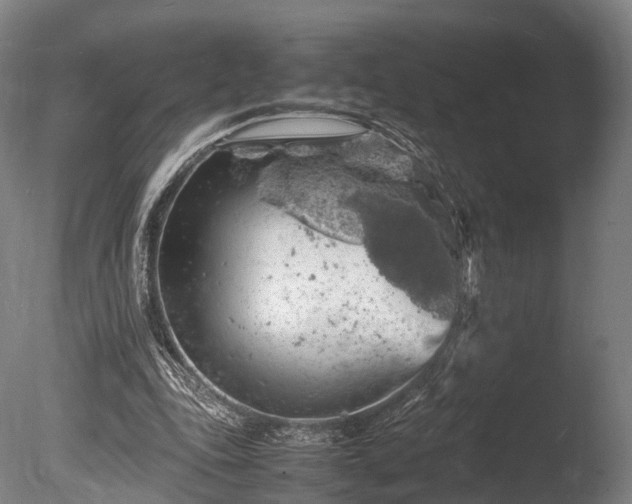 X0000085290343200703161456