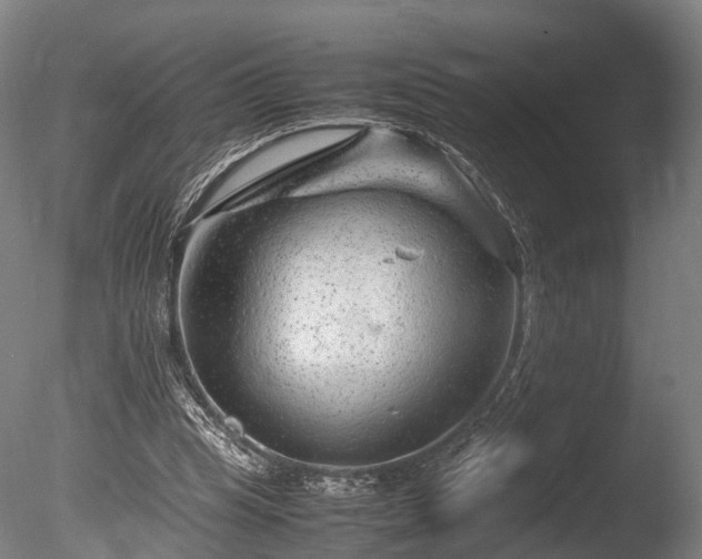 X0000085290345200703161456