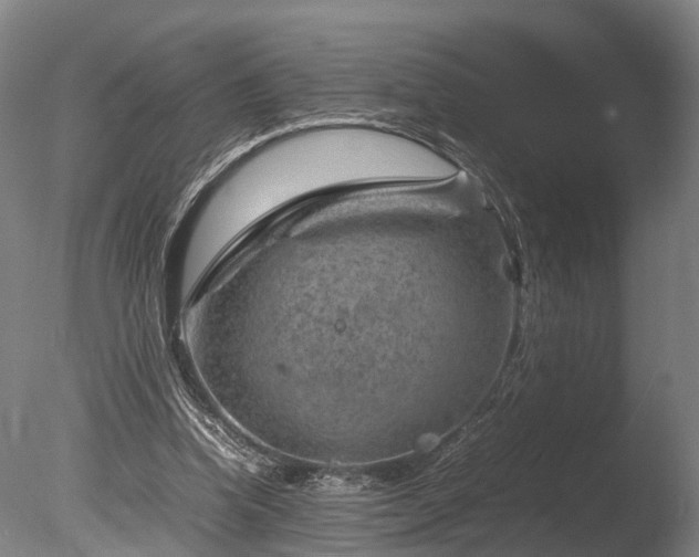 X0000085290346200703161456