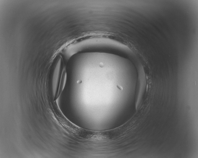 X0000085290348200703161456