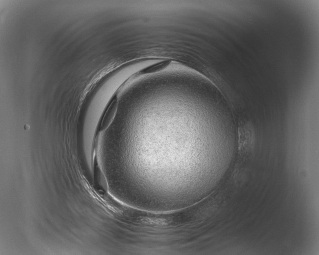 X0000085290349200703161456