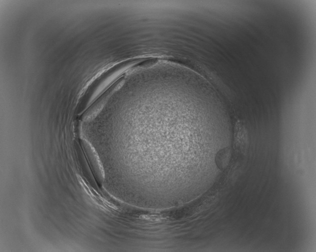 X0000085290351200703161456