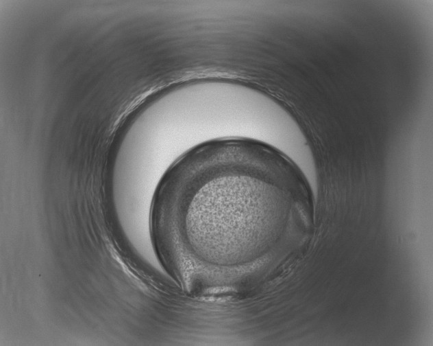 X0000085290352200703161456