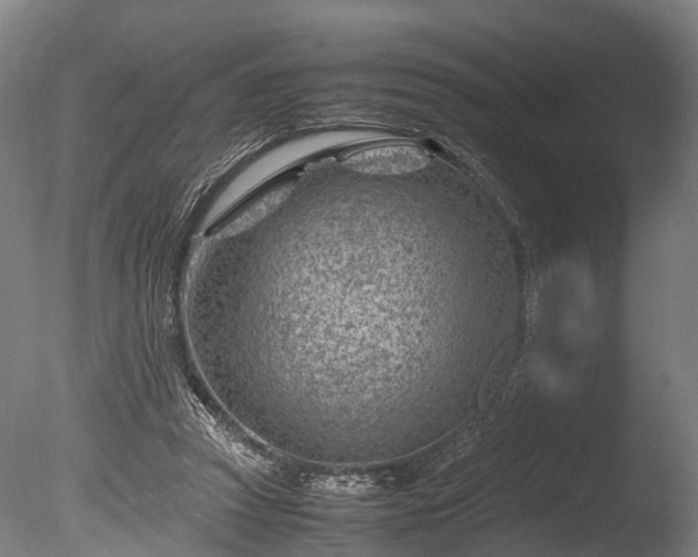 X0000085290353200703161456