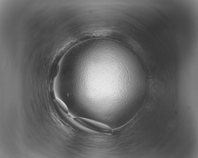 X0000085290354200703161456