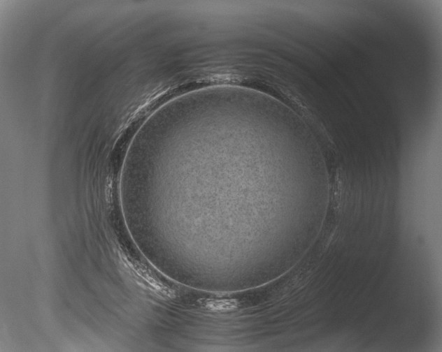 X0000085290355200703161456