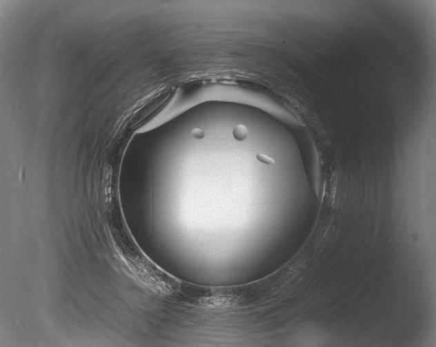 X0000085290356200703161456