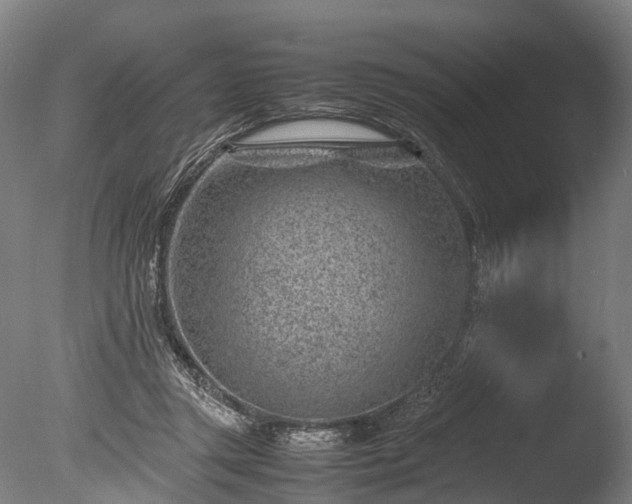 X0000085290357200703161456