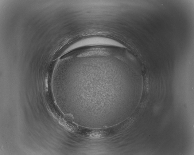 X0000085290358200703161456