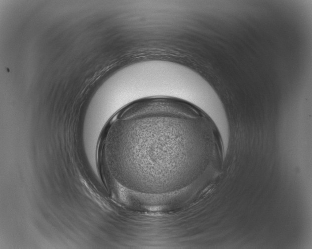 X0000085290360200703161456