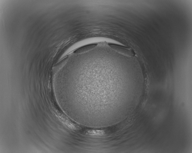 X0000085290361200703161456