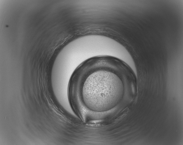 X0000085290362200703161456