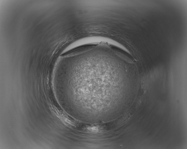 X0000085290365200703161456