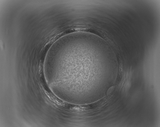 X0000085290367200703161456